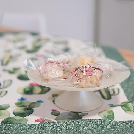 I Fiori Di Lea 펜션 쿠스토나치